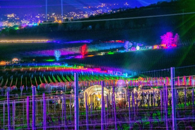 Weinbergnacht Bad Dürkheim